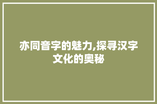 亦同音字的魅力,探寻汉字文化的奥秘