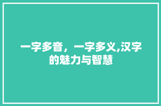 一字多音，一字多义,汉字的魅力与智慧