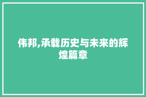 伟邦,承载历史与未来的辉煌篇章