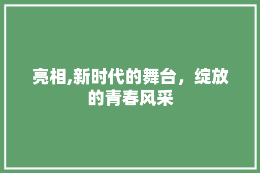亮相,新时代的舞台，绽放的青春风采