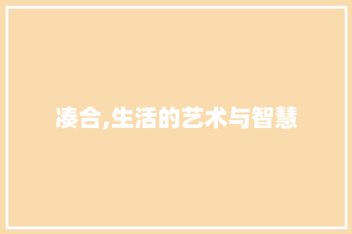 凑合,生活的艺术与智慧