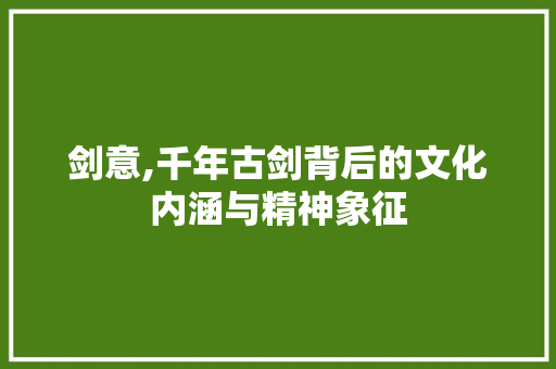 剑意,千年古剑背后的文化内涵与精神象征