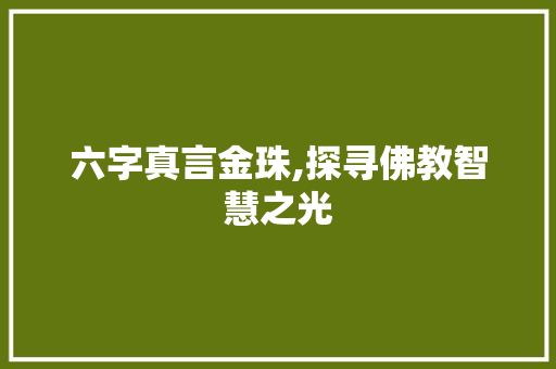 六字真言金珠,探寻佛教智慧之光