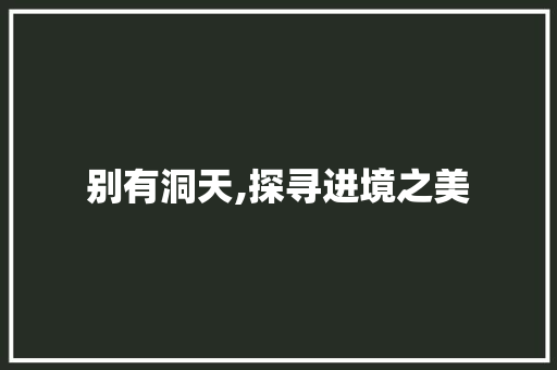 别有洞天,探寻进境之美