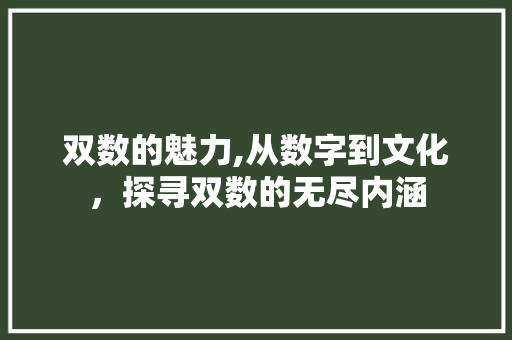 双数的魅力,从数字到文化，探寻双数的无尽内涵