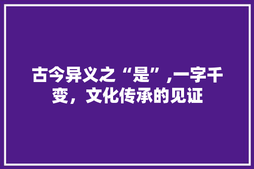 古今异义之“是”,一字千变,文化传承的见证