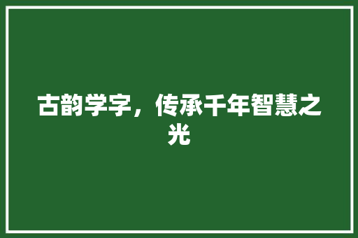 古韵学字,传承千年智慧之光