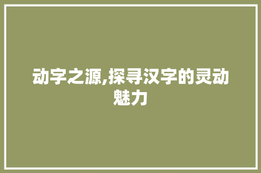 动字之源,探寻汉字的灵动魅力