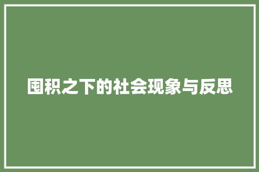 囤积之下的社会现象与反思