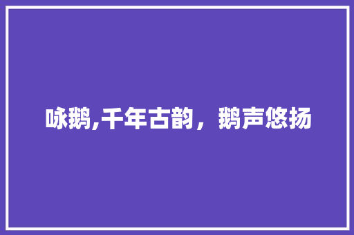 咏鹅,千年古韵，鹅声悠扬