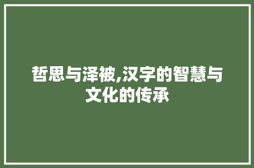 哲思与泽被,汉字的智慧与文化的传承