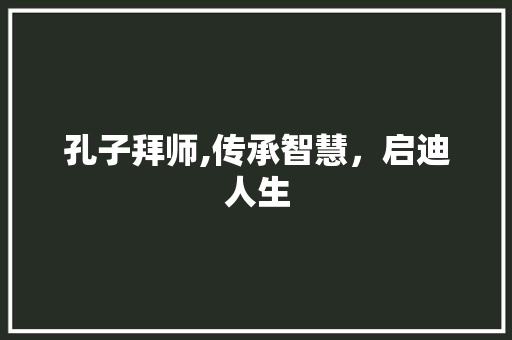 孔子拜师,传承智慧，启迪人生