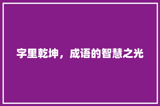 字里乾坤，成语的智慧之光