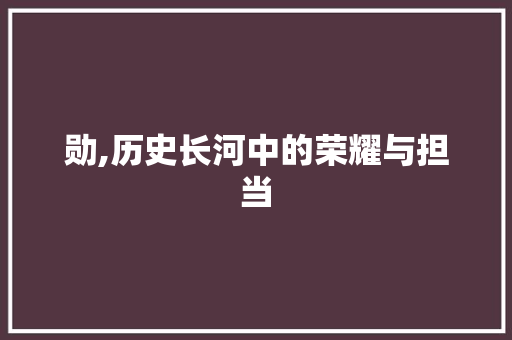 勋,历史长河中的荣耀与担当