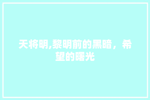 天将明,黎明前的黑暗，希望的曙光
