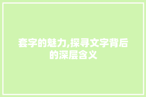 套字的魅力,探寻文字背后的深层含义