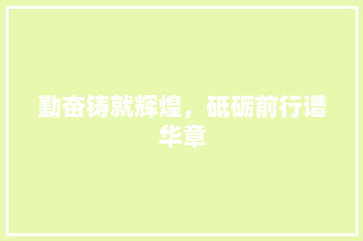 勤奋铸就辉煌，砥砺前行谱华章