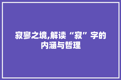 寂寥之境,解读“寂”字的内涵与哲理