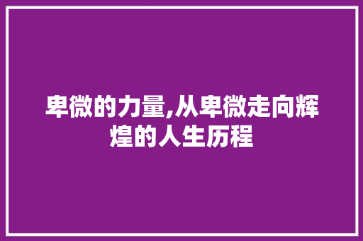 卑微的力量,从卑微走向辉煌的人生历程