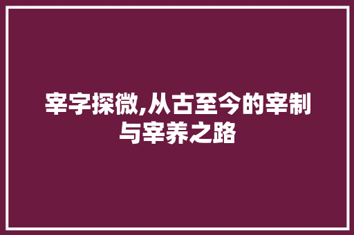 宰字探微,从古至今的宰制与宰养之路