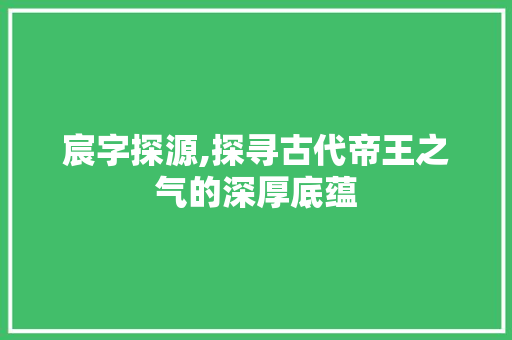 宸字探源,探寻古代帝王之气的深厚底蕴