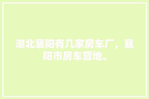 8字龙,传统文化的智慧结晶与当代价值