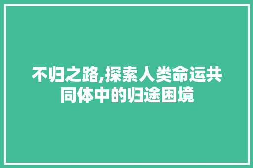不归之路,探索人类命运共同体中的归途困境