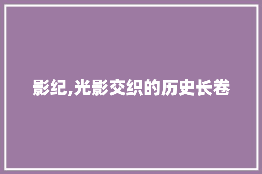 影纪,光影交织的历史长卷