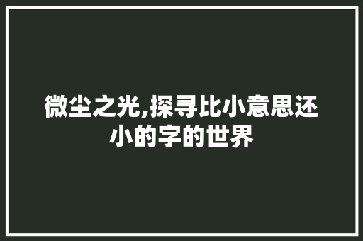 微尘之光,探寻比小意思还小的字的世界