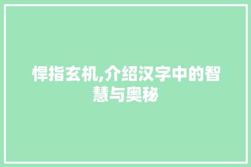 悍指玄机,介绍汉字中的智慧与奥秘