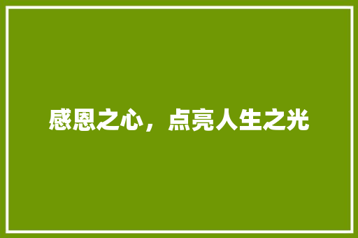 感恩之心，点亮人生之光