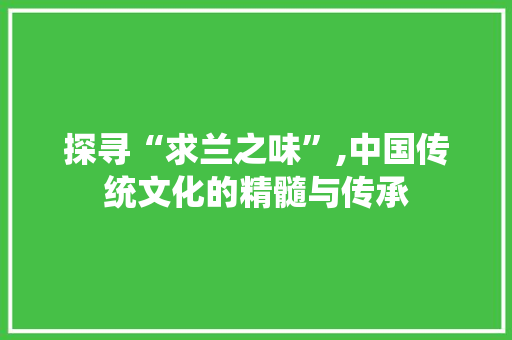 探寻“求兰之味”,中国传统文化的精髓与传承