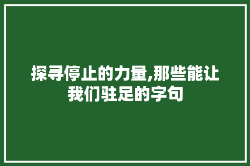 探寻停止的力量,那些能让我们驻足的字句