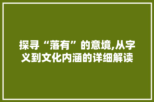 探寻“落有”的意境,从字义到文化内涵的详细解读