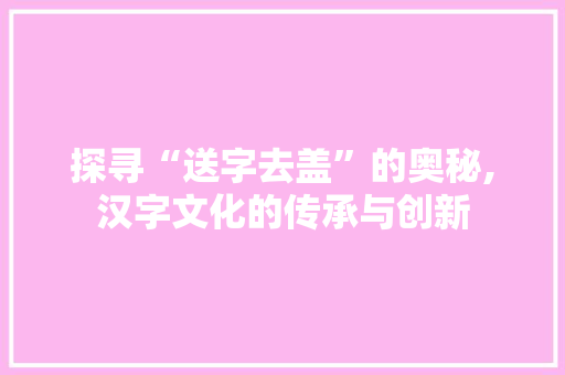 探寻“送字去盖”的奥秘,汉字文化的传承与创新