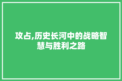 攻占,历史长河中的战略智慧与胜利之路