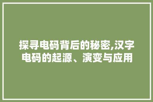 探寻电码背后的秘密,汉字电码的起源、演变与应用
