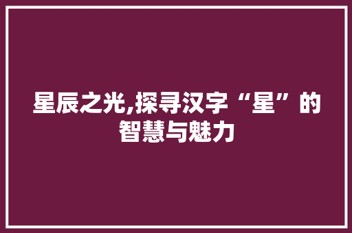星辰之光,探寻汉字“星”的智慧与魅力