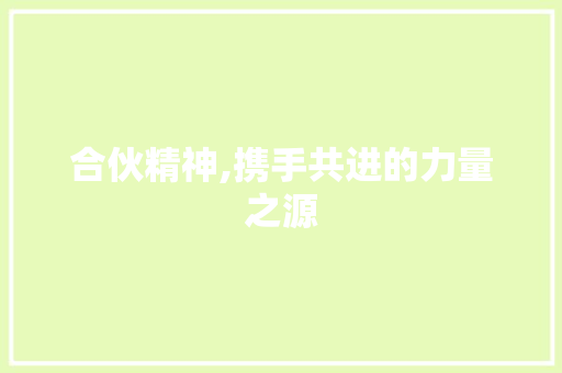 合伙精神,携手共进的力量之源