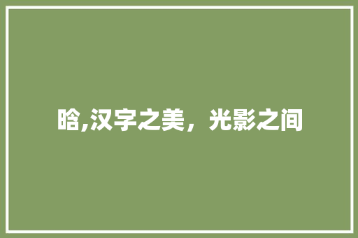 晗,汉字之美，光影之间
