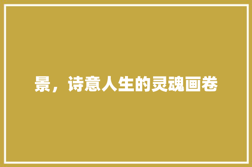 景，诗意人生的灵魂画卷
