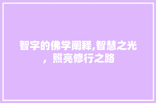 智字的佛学阐释,智慧之光，照亮修行之路