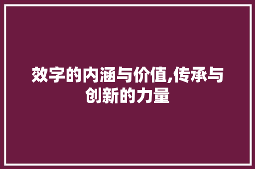 效字的内涵与价值,传承与创新的力量
