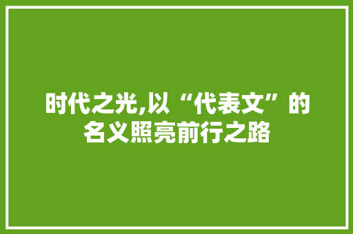 时代之光,以“代表文”的名义照亮前行之路