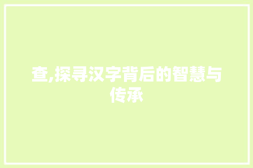 查,探寻汉字背后的智慧与传承