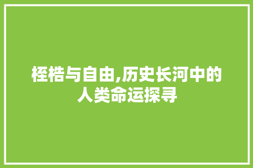桎梏与自由,历史长河中的人类命运探寻