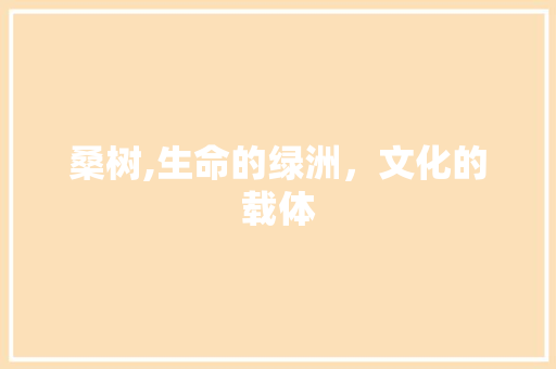 桑树,生命的绿洲，文化的载体