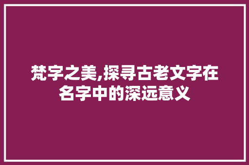 梵字之美,探寻古老文字在名字中的深远意义