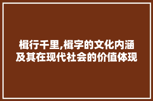 楫行千里,楫字的文化内涵及其在现代社会的价值体现
