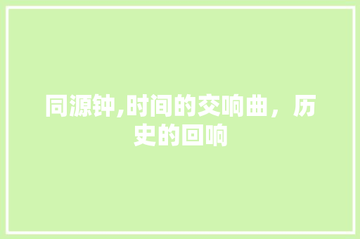 同源钟,时间的交响曲，历史的回响